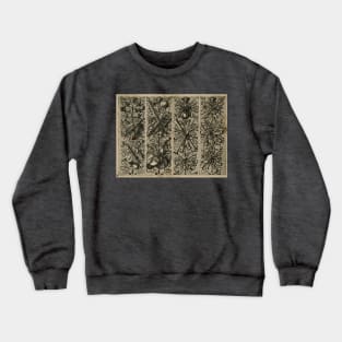 Panoplia Crewneck Sweatshirt